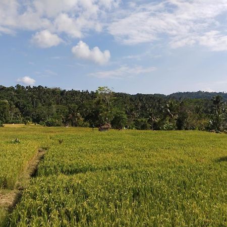 Amed Stop Inn Homestay, Rooftop Restaurant And Bar 외부 사진