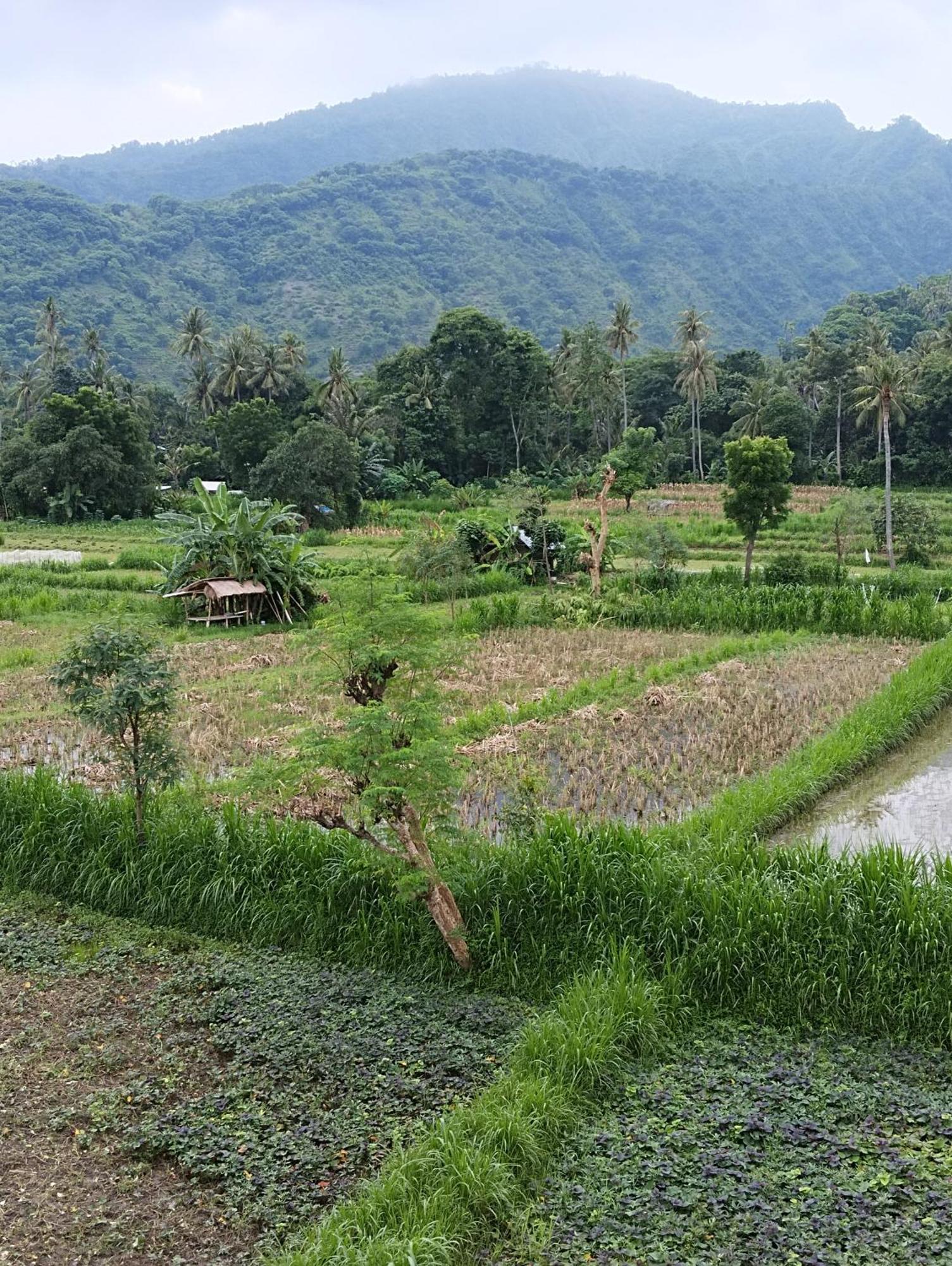 Amed Stop Inn Homestay, Rooftop Restaurant And Bar 외부 사진